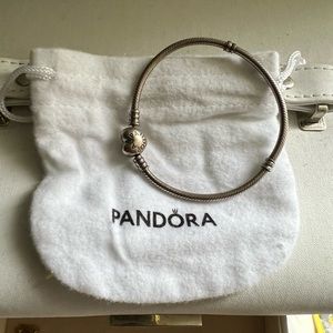Pandora bracelet